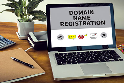 Domain Name registration Service